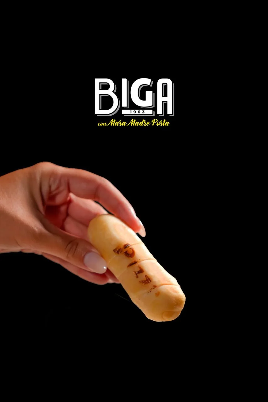 Tequeño BIGA de queso marcado a la plancha