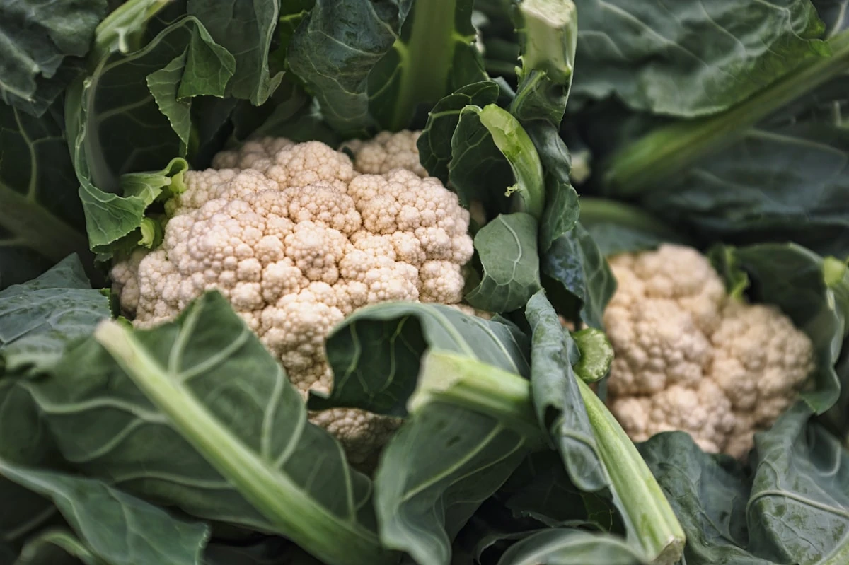 Foto de Coliflor congelado GERGAL