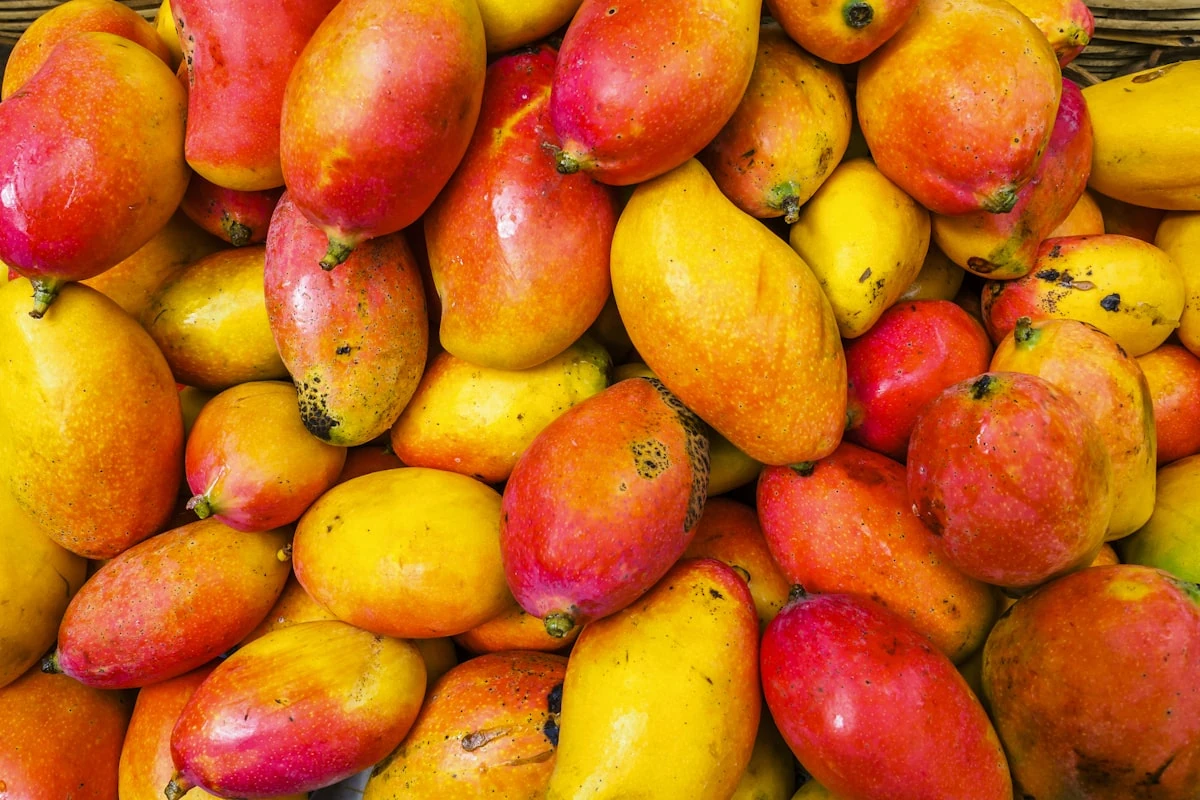 Foto de Mango en cubos congelado GERGAL