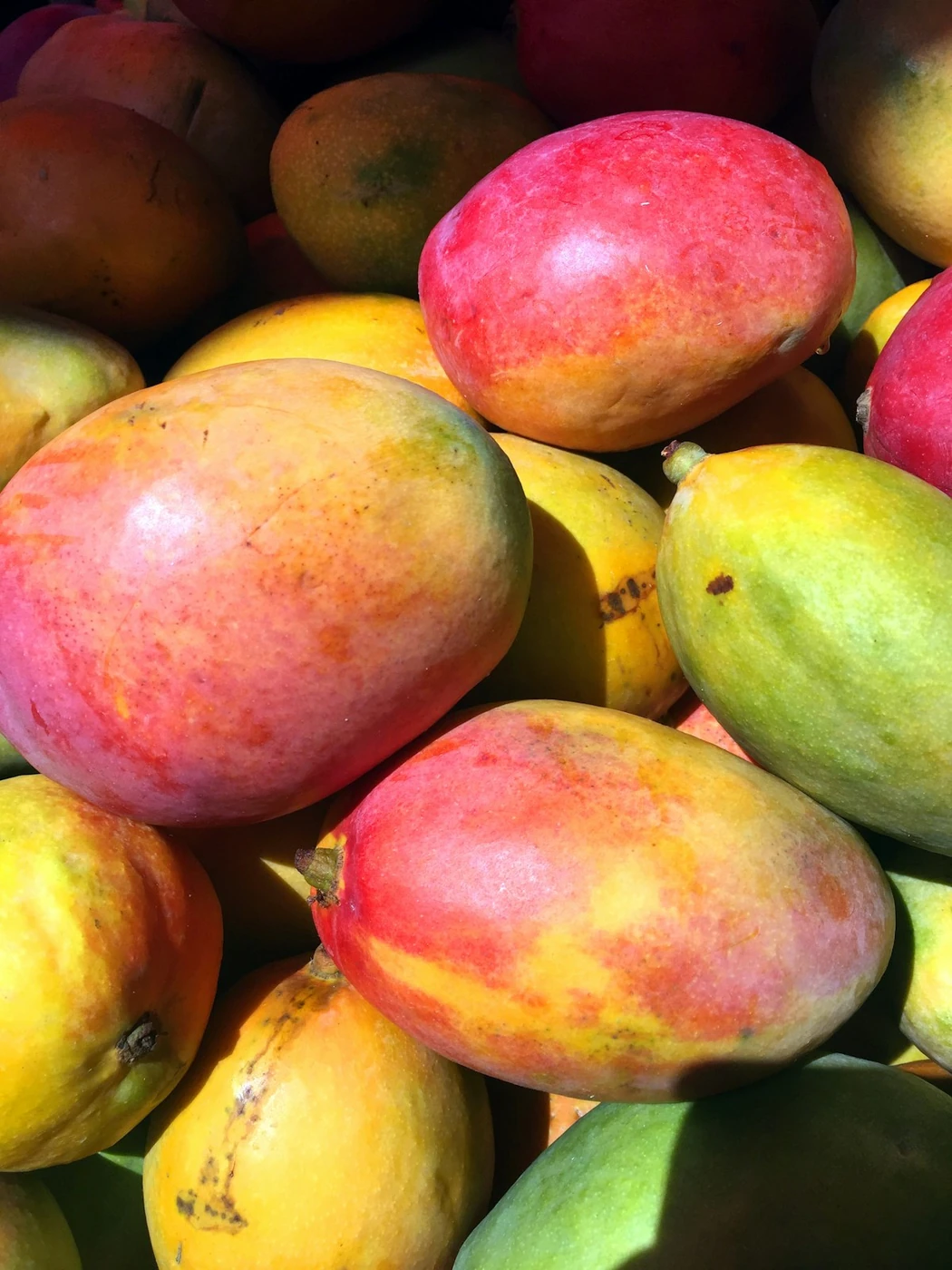 Foto de Maracuyá sin semilla congelado GERGAL